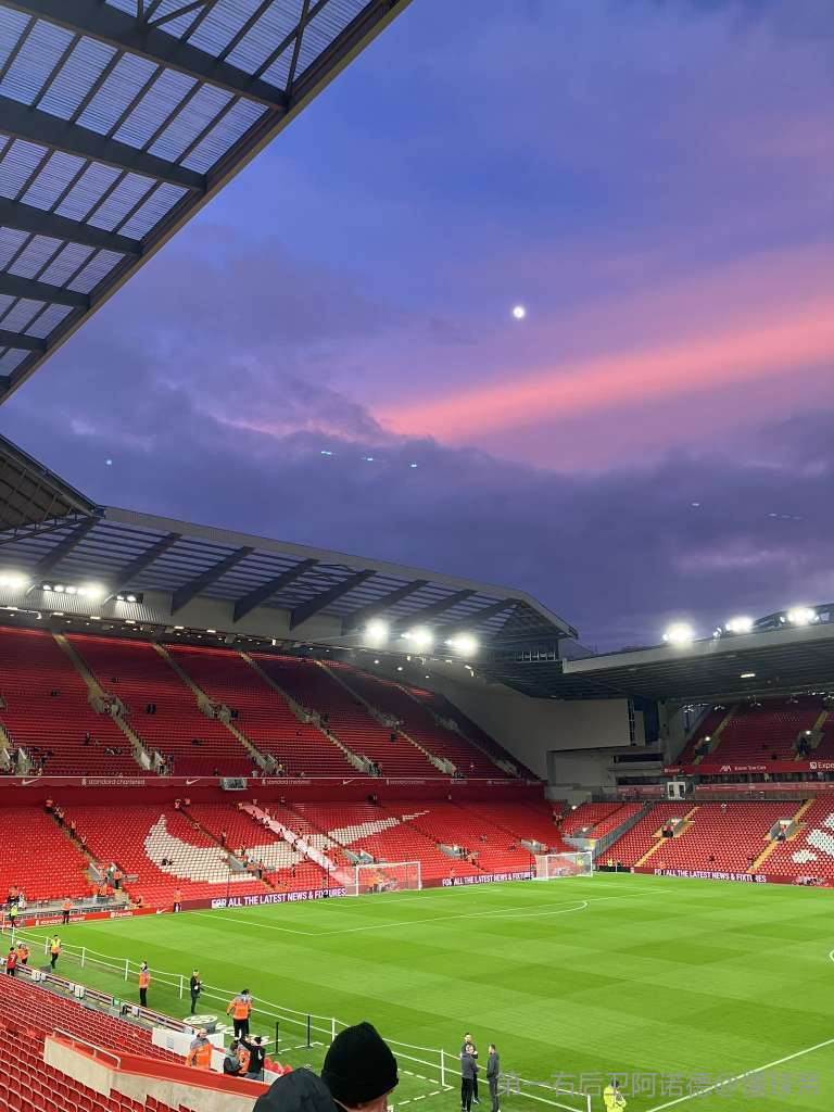 炉石传说电竞内容创作趋势